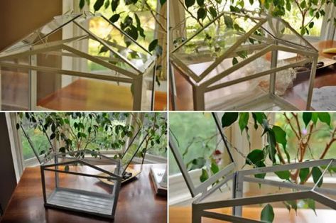 IKEA Socker Greenhouse | RainyDayMagazine Ikea Socker Greenhouse, Socker Greenhouse, Ikea Socker, The Cher Show, Lamp Planters, Window Bird Feeder, Ikea Design, Headlight Restoration, Roof Panels