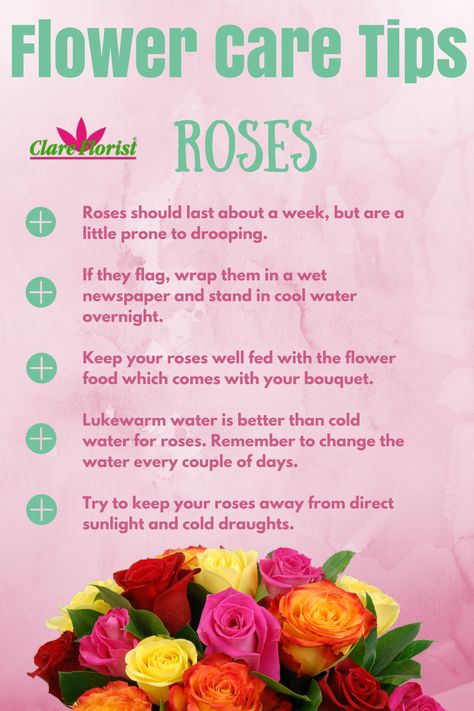 Learn how to take care of your fresh roses and get some tips on the best ways to extend your flowers' lifespan. Flower Care Tips, Beautiful Flower Bouquets, Roses In A Vase, Flowers Last Longer, Send Flowers Online, Bouquet Roses, Rose Care, Pink Rose Bouquet, Bouquet Of Roses