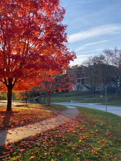 ohio university in autumn Fall In Ohio, Ohio University Aesthetic, Ohio State University Aesthetic, Ohio State Aesthetic, University Ideas, Ohio University Athens, University Aesthetic, Athens Ohio, Ohio University