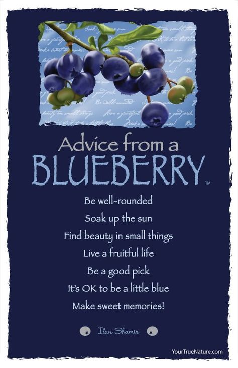 Blueberry Quotes, Blueberry Farm, Soak Up The Sun, Advice Quotes, True Nature, Art Card, Nature Quotes, Sweet Memories, Find Beauty