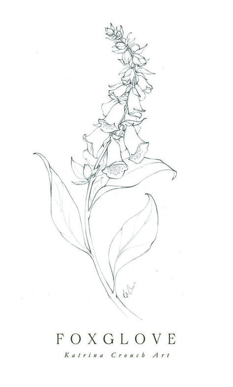 Flower Drawings | Inktober 2020 Roundup — Blushed Design | Flower line drawings, Flower drawing, Botanical line drawing Long Flowers Drawing, Fox Glove Illustration, Katrina Crouch Flower, Foxglove Line Drawing, Dancing Flower Drawing, Fox Glove Flower Tattoos, Long Flower Drawing, Foxglove Sketch, Fox Gloves Flower