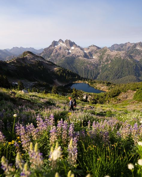 This is what summer looks like in beautiful British Columbia 🩵🏔️ There is no place like the mountains in the western part of Canada 🇨🇦 Sooke Potholes British Columbia, British Colombia Aesthetic, Canada Countryside, British Columbia Aesthetic, British Columbia Mountains, British Columbia Travel, Kelowna British Columbia, Western Canada, British Columbia Canada