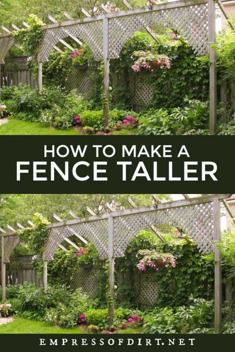 Creative ways to make a fence taller or add some simple structures for better privacy in the garden. data-pin-media= Make A Fence Taller, Privacy Fence Landscaping, Privacy Ideas, Concrete Patios, Privacy Landscaping, Garden Privacy, Backyard Privacy, Landscaping Garden, Garden Wallpaper