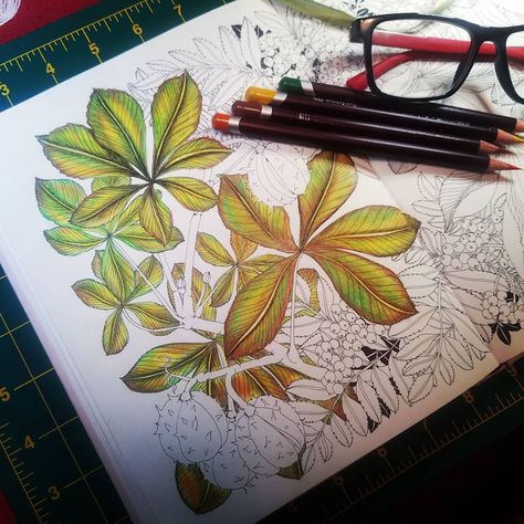 COLOR & RELAX on Instagram: “#wip #thefloweryear #coloringbook by @leiladuly with #derwent #coloursoft #coloredpencils #12set by @derwentartofficial . . . .…” Derwent Inktense Color Combinations, Derwent Coloursoft, Pencil Colours, Blending Colored Pencils, Derwent Inktense, Watercolor Lessons, Colour Combinations, Colored Pencil, Adult Coloring Books