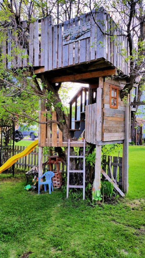 25 Free DIY Tree House Plans and Ideas Easy Diy Treehouse, Diy Tree House For Kids, Treehouse Diy Plans, Tree House For Kids, Diy Tree House, Pallet Tree Houses, Backyard Treehouse, House For Kids, Pallet Tree