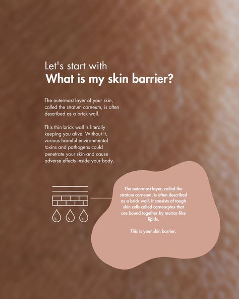 Skin barrier in need of a little TLC? The Super Oil's got you. ✨️🧬 Now available on @amazon Essence Photoshoot, Facial Quotes, Skincare Content Ideas, Skincare Ads, Esthetician Inspiration, Spa Specials, Esthetician Marketing, Skin Facts, Skincare Branding