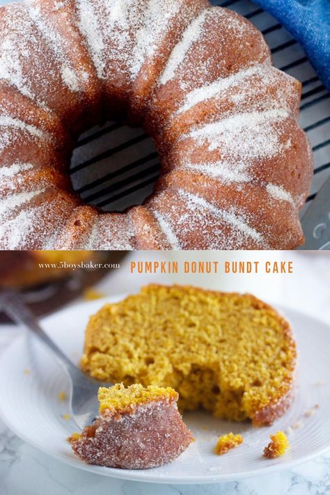 This Pumpkin Donut Cake is the most delicious cake! It’s moist, perfectly seasoned, not overly sweet and finished off with a generous sprinkling of cinnamon sugar. It’s that perfect cake you’ve been wanting for the holidays. This bundt cake recipe is easy and simple to make! Full of pumpkin flavor and covered in a sweet flavor, you will love to add this to the dessert table at your next family gathering. Pumpkin Bundt Cake Recipes, Pumpkin Doughnut, Pumpkin Bundt, Pumpkin Bundt Cake, Cake Rolls, Pumpkin Pudding, Cake Mug, Pumpkin Cake Recipes, Pumpkin Desserts