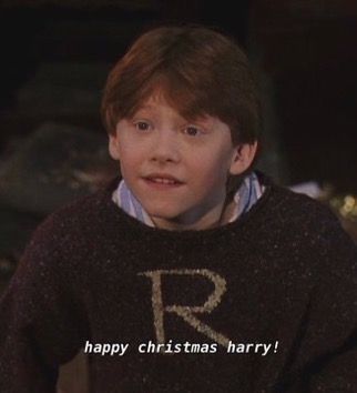 hatefuls Happy Christmas Harry Potter Scene, Harry Potter Christmas Scene, Ron Weasley Sweater, Weasley Sweater, Ron And Harry, Hogwarts Christmas, Hogwarts Alumni, Harry Potter Icons, Harry Potter Scene