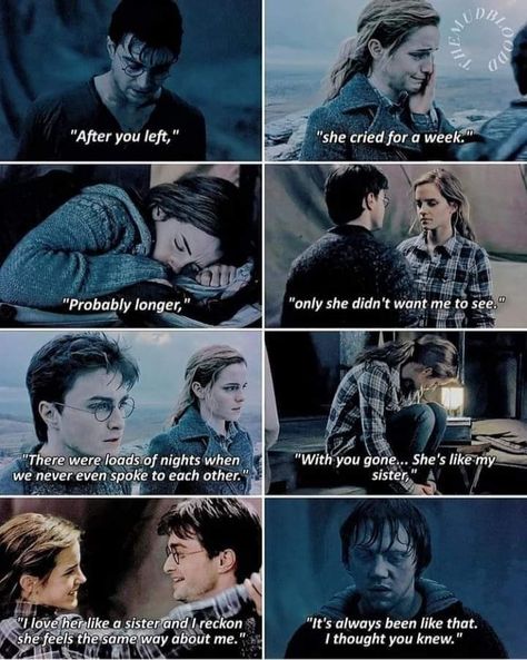 Citate Harry Potter, Harry Potter Voldemort, Always Harry Potter, Funny Harry Potter Jokes, Harry And Hermione, Harry Potter Severus, Potter Quotes, Harry Potter Ron, Harry Potter Feels