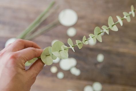 DIY Paper Eucalyptus table numbers Diy Paper Decorations, Thanksgiving Banquet, Paper Eucalyptus, Paper Flower Centerpieces Wedding, Eucalyptus Diy, Paper Flowers Diy Wedding, Paper Wedding Decorations, Diy Eucalyptus, Paper Flower Centerpieces