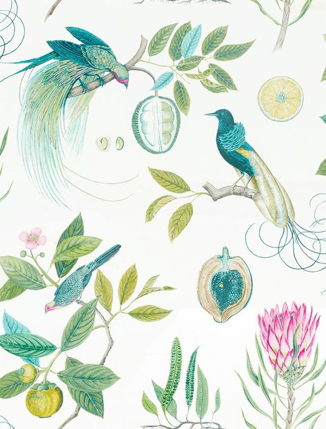 Tropical Bird Wallpaper, Cloakroom Wallpaper, Bird Wallpaper Bedroom, Sherwin Williams Green, Sanderson Curtains, African American Quilts, Sanderson Fabric, Finches Bird, Dining Room Wallpaper