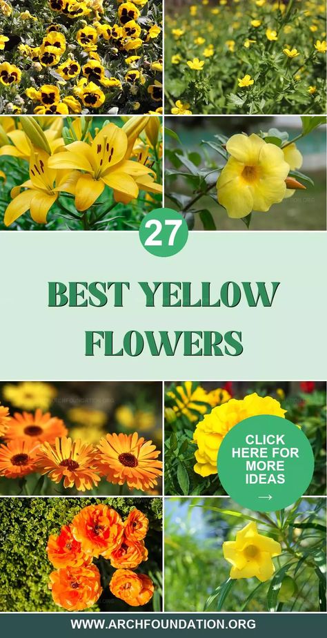 There are several types of yellow flowers that brighten up your garden or home with ease. These blooms range from the soft glow of delicate daffodils to the bold brilliance of sunflowers. Yellow flowers bring a cheerful radiance to any setting, symbolizing friendship and joy, perfect for lifting spirits and enhancing landscapes. Types Of Yellow, Flowers Types, Yellow Garden, Garden Flower, Garden Flowers, Types Of Flowers, Cheer Up, Daffodils, Yellow Flowers