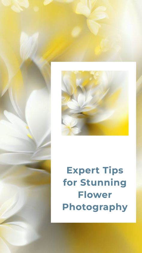 Helpful advice on improving your flower photography Flower Photography, Photography Skills, Photography Website, Flower Images, Flowers Photography, Improve Yourself, Flowers, Photography