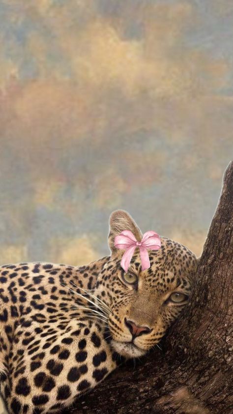 Leopard Print Background Aesthetic, Leopard Print Wallpaper Iphone, Leopard Wallpaper Aesthetic, Pink Cheetah Wallpaper, Cheetah Print Aesthetic, Cheetah Aesthetic, Arabian Leopard, Pink Leopard Wallpaper, Leopard Print Aesthetic