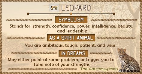 Leopard Meaning and Symbolism | The Astrology Web Animal Totem Spirit Guides, Spirit Animal Meaning, Animal Meanings, Spirit Animal Totem, Spiritual Animal, Animal Spirit Guides, Animal Medicine, Animal Guides, Power Animal