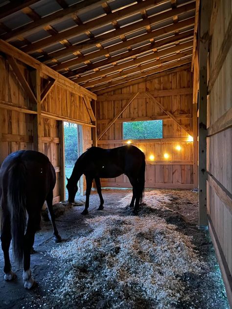 Backyard With Horses, Horses In Stables, Rustic Horse Stable, Horses In Backyard, Cheap Horse Shelter, Horse Stables Aesthetic, Horse Barn Aesthetic, Small Stable Ideas, Barn Ideas For Horses