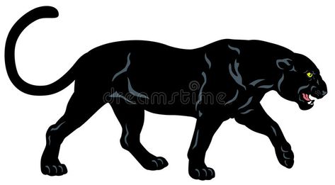 Panther Tattoos, Black Panther Drawing, Black Panther Cat, Black Panther Tattoo, Panther Cat, Panther Tattoo, Panther Logo, Black Jaguar, Black Panthers