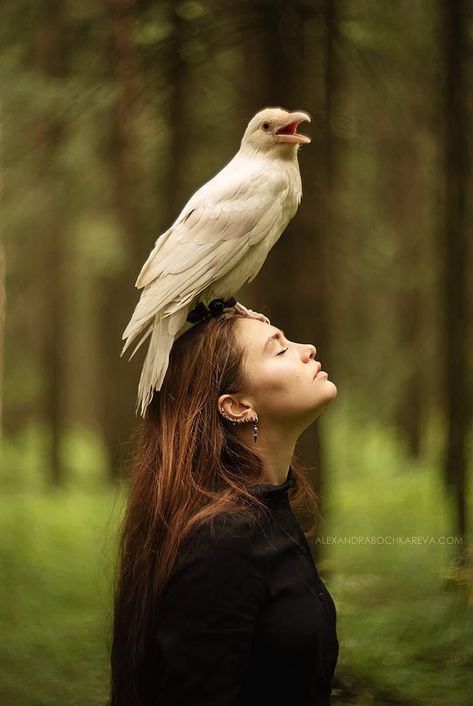 Pose Reference With Bird, Person Holding A Bird Reference, Poses With Birds, Person With Animal Reference, Bird On Arm Pose, Person With Bird Pose Reference, Holding Bird Pose, Person Holding Bird, Holding Bird Reference