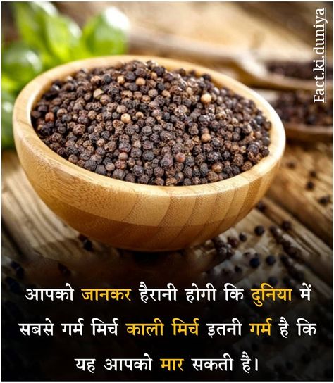 Fact in Hindi Fact In Hindi, Facts In Hindi, Feeling Hungry, Food Facts, Health Care, Herbs, Stuffed Peppers, Make It Yourself, Health