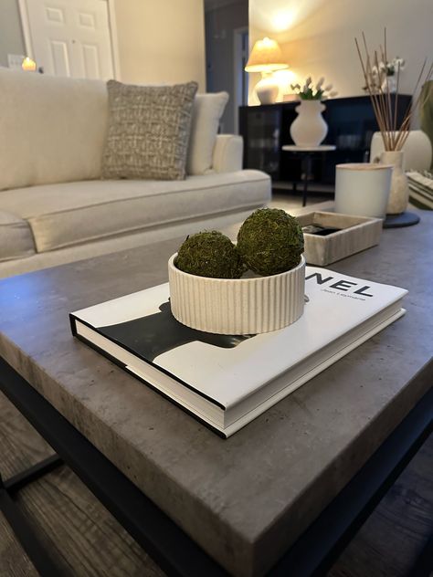 Shop Decorative Moss Ball Filler Dark … and other curated products on LTK, the easiest way to shop everything from your favorite creators. Moss Ball Decor Ideas, Moss Balls Decor, Modern Coffee Table Decor, Moss Ball, Moss Balls, Decorating Coffee Tables, Modern Coffee Tables, Minimalist Bedroom, House Inspo