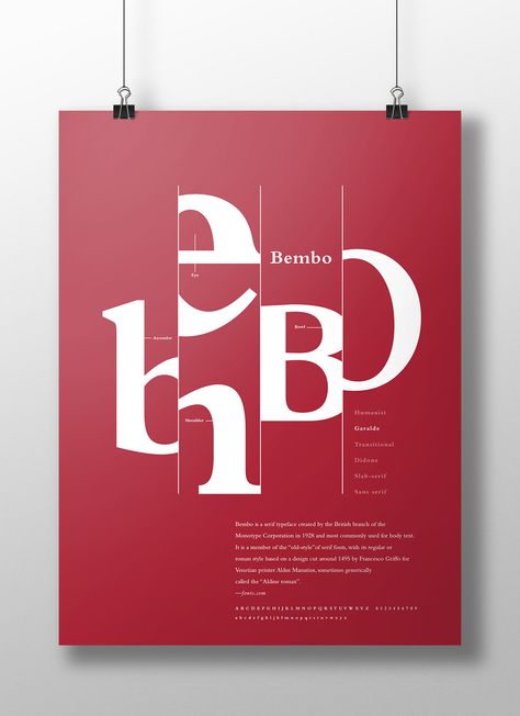 Type Classification Poster on Behance Typographic Book Design, Typeface Poster Design, Typo Poster Design, Type Specimen Poster, Typo Graphic Design, Typography Advertising, Certificate Design Inspiration, Typeface Poster, Type Classification