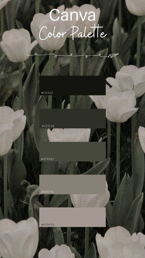 Cottage Gothic Aesthetic, Colour Palette Black And White, Canva Palettes Color, Canva Colour Palettes, Canva Color Codes, Black And White Colour Palette, Instagram Color Scheme, Canva Color Palette Codes, Color Pallete Aesthetic