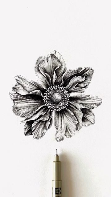 Floral Outlines, Realistic Flower Drawing, Micron Pen Art, Pen Art Work, Doodle Art Flowers, Stippling Art, Botanical Drawing, Boho Art Drawings, Pen Art Drawings