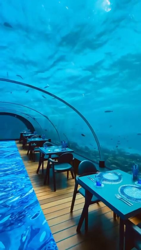 Underwater Hotel, Underwater Restaurant, Bawah Air, Dubai Vacation, Dubai Aesthetic, Under The Ocean, Travel House, Dream Travel Destinations, Beautiful Places Nature