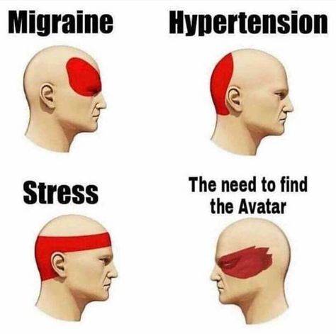 Atla Memes, Avatar The Last Airbender Funny, Avatar Funny, Avatar Series, The Last Avatar, Memes Lol, Avatar The Last Airbender Art, Team Avatar, Avatar Airbender