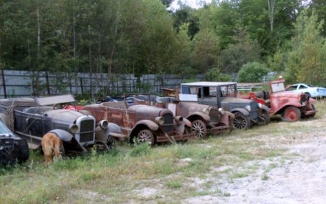 Field Full of Pre-War Cars in Maine - http://www.barnfinds.com/field-full-of-pre-war-cars/ Antique Cars For Sale, Junkyard Cars, Barn Find Cars, Junk Yard, American Auto, Muscle Cars For Sale, Rusty Cars, Last Ride, Cars Classic