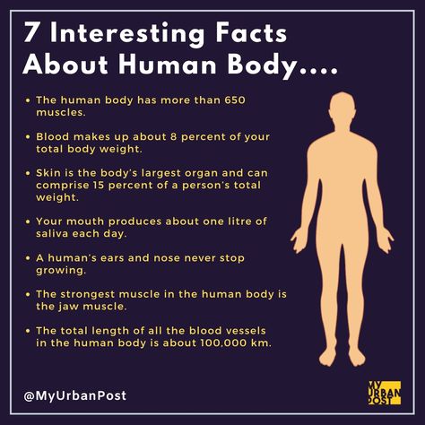 Organisms Science, Interesting Facts About Humans, Interesting Health Facts, Body Facts, Basic Anatomy, Human Body Facts, Facts About Humans, Study Biology, Psychological Facts Interesting