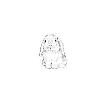 Bunny And Dog Tattoo, Holland Lop Bunny Drawing, Floppy Eared Bunny Tattoo, Soft Bunny Tattoo, Holland Lop Bunny Tattoo, Lop Rabbit Tattoo, Lop Eared Bunny Tattoo, Holland Lop Drawing, Lop Bunny Drawing