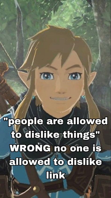 Link Zelda Aesthetic, Twilight Princess Link Fan Art, Link Smiling, Zelink Kiss, Link Wallpapers, Link Cooking, Link X Zelda, Link Totk, Link Pfp