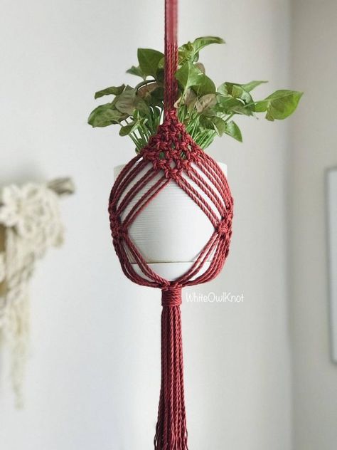 29 Macrame Plant Hanger Patterns | Crafting News 9 Macrame Step By Step, Plant Hanger Diy, Diy Macramé, Art Macramé, Macrame Plant Hanger Tutorial, Free Macrame Patterns, Macrame Plant Hanger Patterns, Plant Hanging, Makramee Diy