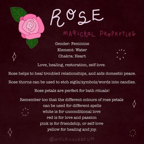 Rose Petal Uses, Rose Thorns, Goddess Aesthetic, Troubled Relationship, Witchcraft Supplies, White Witch, Subscription Box, Photography Editing, Rose Petals