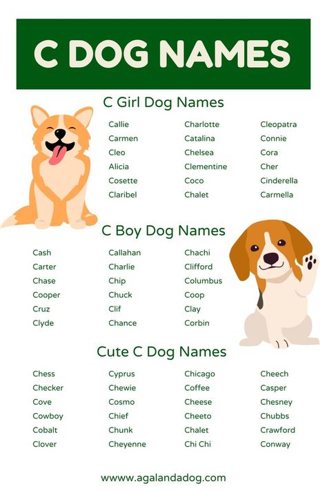 List of C Dog Names. Cutest Dog Names, Dog Names Girl, Dogs Names List, Boy Dog Names, Best Names, Girl Dog Names, Best Dog Names, Cute Names For Dogs, Names Cute