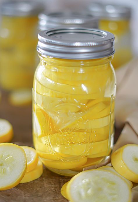 Canning squash for frying is about to be your favorite way to save fresh squash. The canning process is bare minimum and can be done within a few minutes. How To Can Squash For Frying, Canning Squash For Frying, Canning Squash In Water Bath, Canning Squash Recipes, How To Can Squash, Squash Preservation, Preserving Squash, Canning Yellow Squash, Pickled Squash