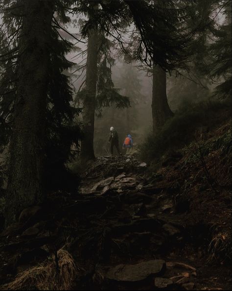 Creepy Mountain Aesthetic, Adventure Book Aesthetic, Dark Academia Mountains, Rainy Hike Aesthetic, Dark Hiking Aesthetic, Action Adventure Aesthetic, 1930s Adventure Aesthetic, Wilderness Aesthetic Dark, Exploring Forest Aesthetic