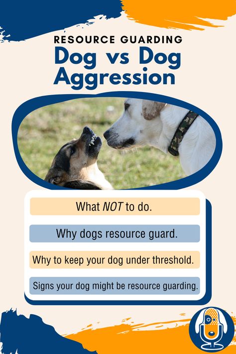 Puppy Aggression Training, Food Aggression In Dogs, Dog Resource Guarding, Resource Guarding In Dogs, Dog Aggression Towards Other Dogs, Commands To Teach Your Puppy, How To Stop Dog Aggression Towards Other Dogs, Dog Aggression, Dog Growling