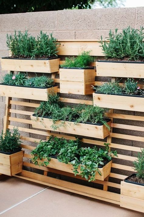 Garden Wall Planter, Vertical Garden Wall Planter, Pallet Gardening, Decking Ideas, Funny Vine, Garden Wall Designs, Vertical Garden Design, Vertical Vegetable Garden, Small Vegetable Gardens