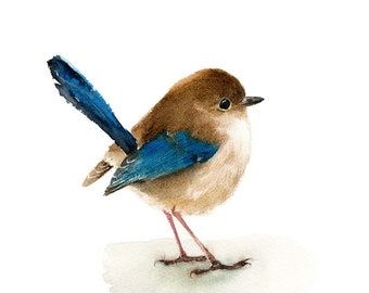 Splendid Fairy Wren Watercolor Painting Bird Watercolor Painting 5x7 Inch Print 0176 - Etsy Wren Watercolor, Illustration Bird, Fairy Wren, Bird Watercolor Paintings, Bird Watercolor, Bird Illustration, Watercolor Bird, Paintings Art Prints, Bird Art