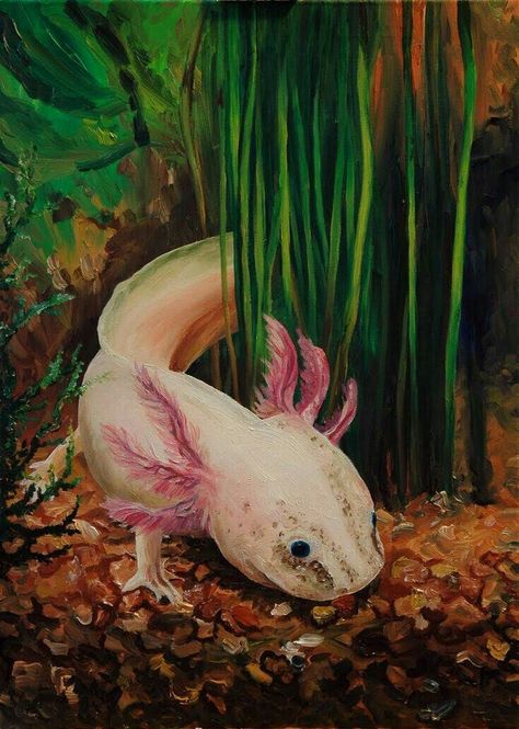 Axolotl Painting, Axolotl Cute, Gallery Prints, Aquatic Animals, Old School Tattoo, Sweet Animals, Amphibians, Fantasy Landscape, Cuteness Overload