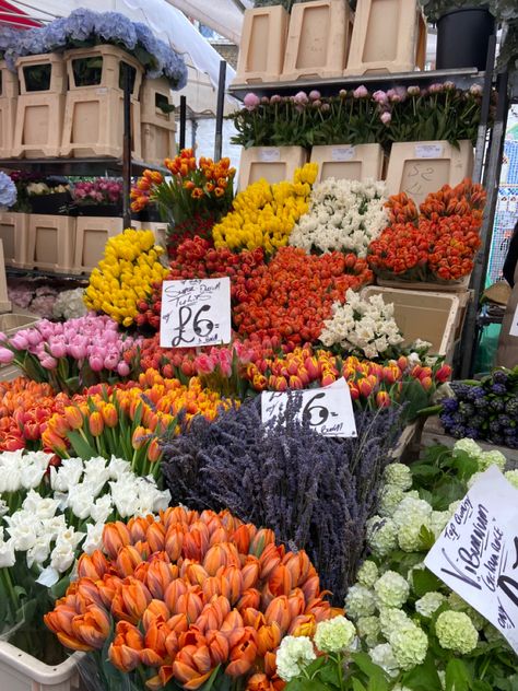 Colombia Road Flower Market, Columbia Flower Market London, Columbia Flower Market, London Moodboard, Living In London Aesthetic, Flower Market Aesthetic, London Flower Market, Flower Market London, Autumn London