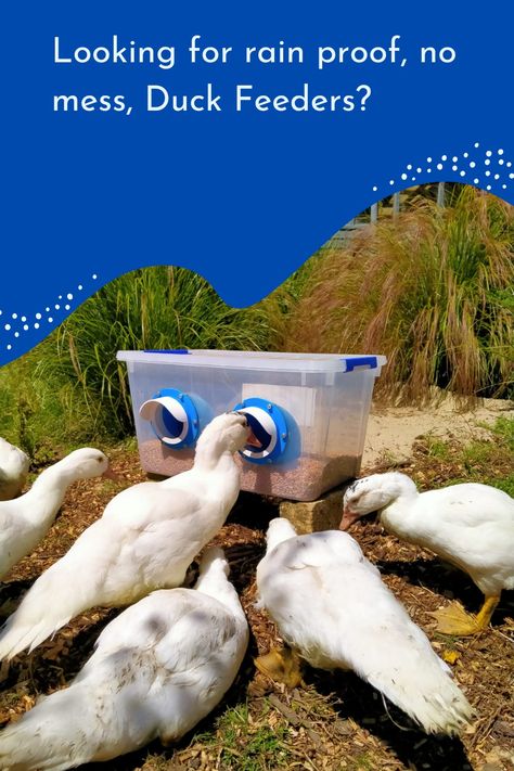 Rain Proof, No Mess, DIY Duck Feeder Kit available on Amazon now! Mess Free Duck Pen, Duck Food Feeder, Best Duck Waterer, Backyard Duck Pond Ideas, Duck Feeder Ideas, Duck Enrichment, Duck Feeders And Waterers, Mess Free Duck Waterer, No Mess Duck Waterer