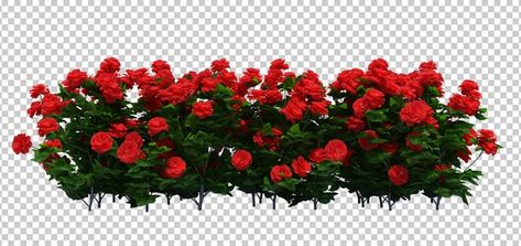 Flowers Png For Editing, Rumput Png, Bushes Png, Tree With Red Flowers, Rose Bush Illustration, Red Flower Background Design, Nature Rose, Floral Tree, Rose Garden Design