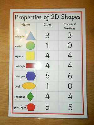 2d 3d Shapes, Envision Math, Teaching Shapes, Math Charts, Mathematics Worksheets, Learning Mathematics, 1st Grade Math Worksheets, Shapes Worksheets, Printable Math Worksheets