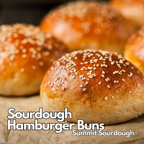 Sourdough Hamburger Buns - Small Batch Homemade Sourdough Hamburger Buns, Small Batch Hamburger Bun Recipe, Small Batch Sourdough Starter, Sourdough Hamburger Bun Recipe, Sourdough Hamburger Buns, Sourdough Buns, Hamburger Buns Recipe, Hamburger Rolls, Hamburger Bun Recipe