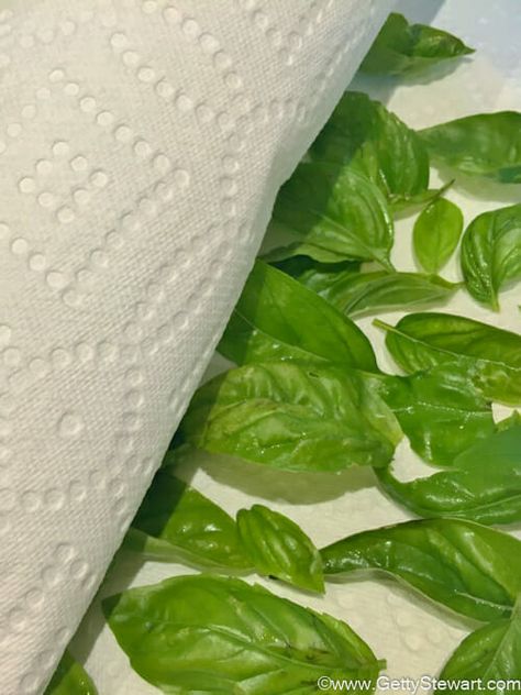 Storing Fresh Basil, Herbal Knowledge, Dry Basil, Drying Fresh Herbs, Spice Cupboard, Dried Basil Leaves, Preserving Herbs, Kitchen Basics, Dried Basil