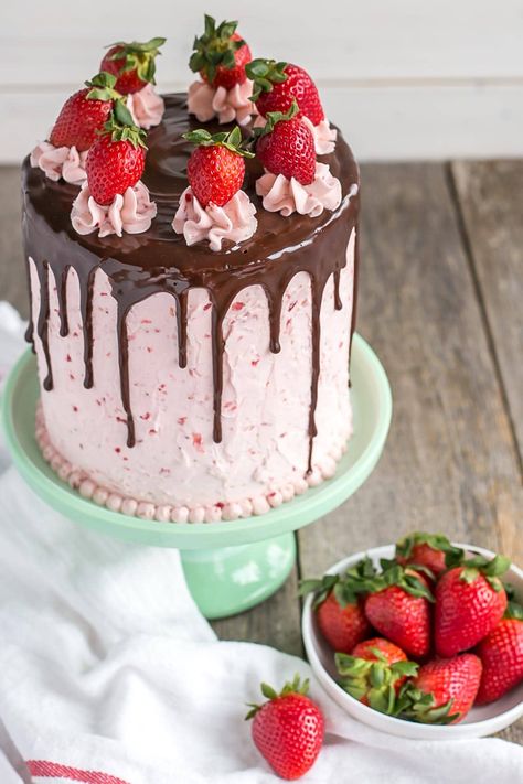 Take chocolate dipped strawberries to the next level with this dreamy Chocolate Strawberry Cake! | livforcake.com Strawberry Cake From Scratch, Strawberry Frosting Recipes, Chocolate Layer Cake Recipe, Strawberry Sheet Cakes, Strawberry Layer Cakes, Strawberry Cake Filling, Ganache Cake, Chocolate Strawberry Cake, Dipped Strawberries