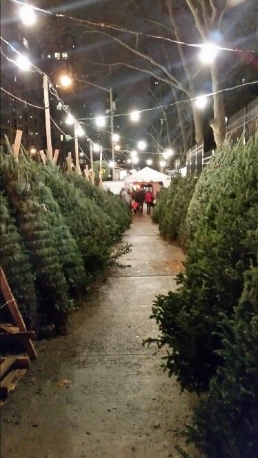 Christmas Tree Lot Ideas, Tree Farm Aesthetic, The Christmas Tree Farm Book Aesthetic, New York Christmas Tree Aesthetic, Big City Christmas Aesthetic, Pnw Winter, Lovelight Farms, New York City Christmas Time Aesthetic, Christmas Tree Shopping